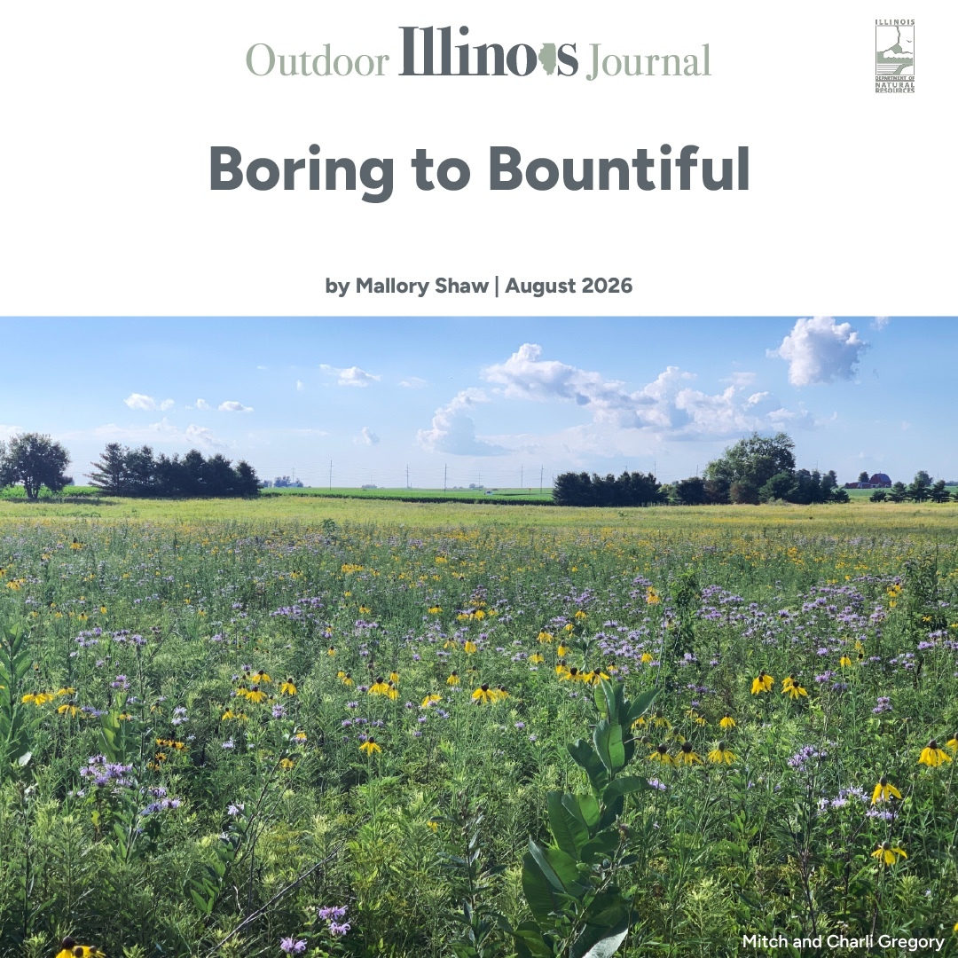 Boring to Bountiful
