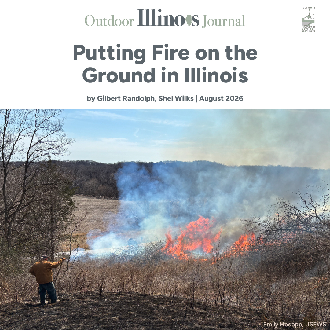 Putting Fire on the Ground in Illinois